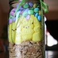 peeps-in-a-jar-smores