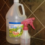 vinegar 002