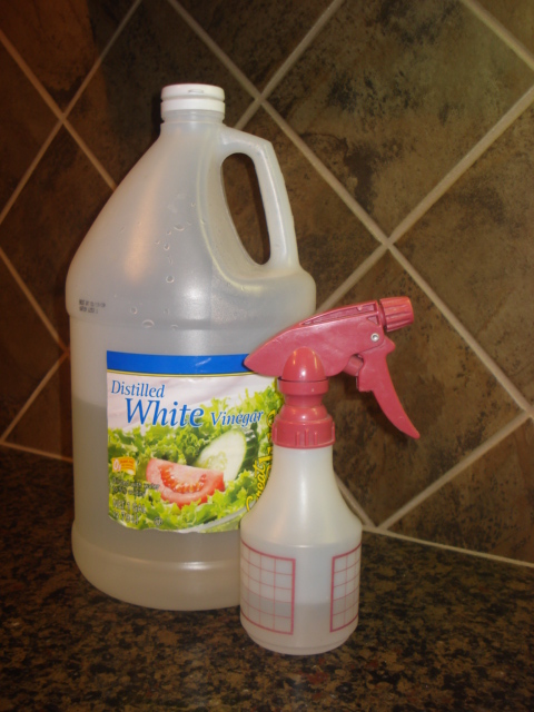 vinegar 002