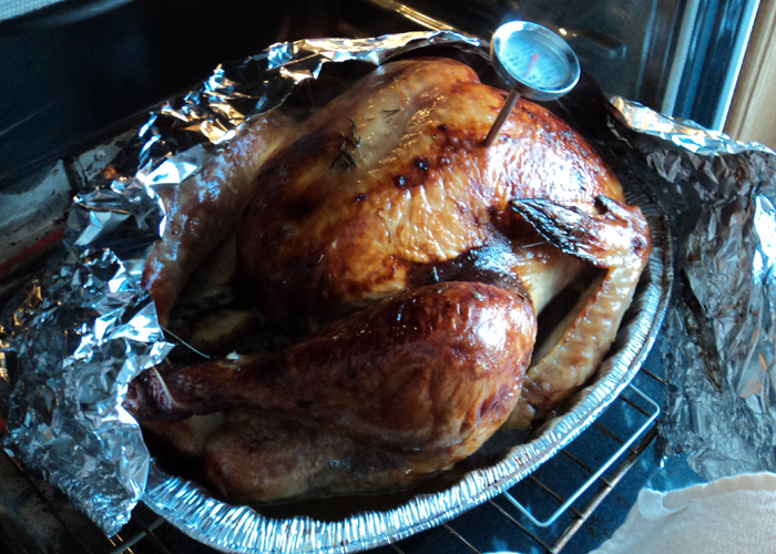 turkey-thanksgiving