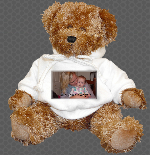 Photo Teddy Bear SeeHere