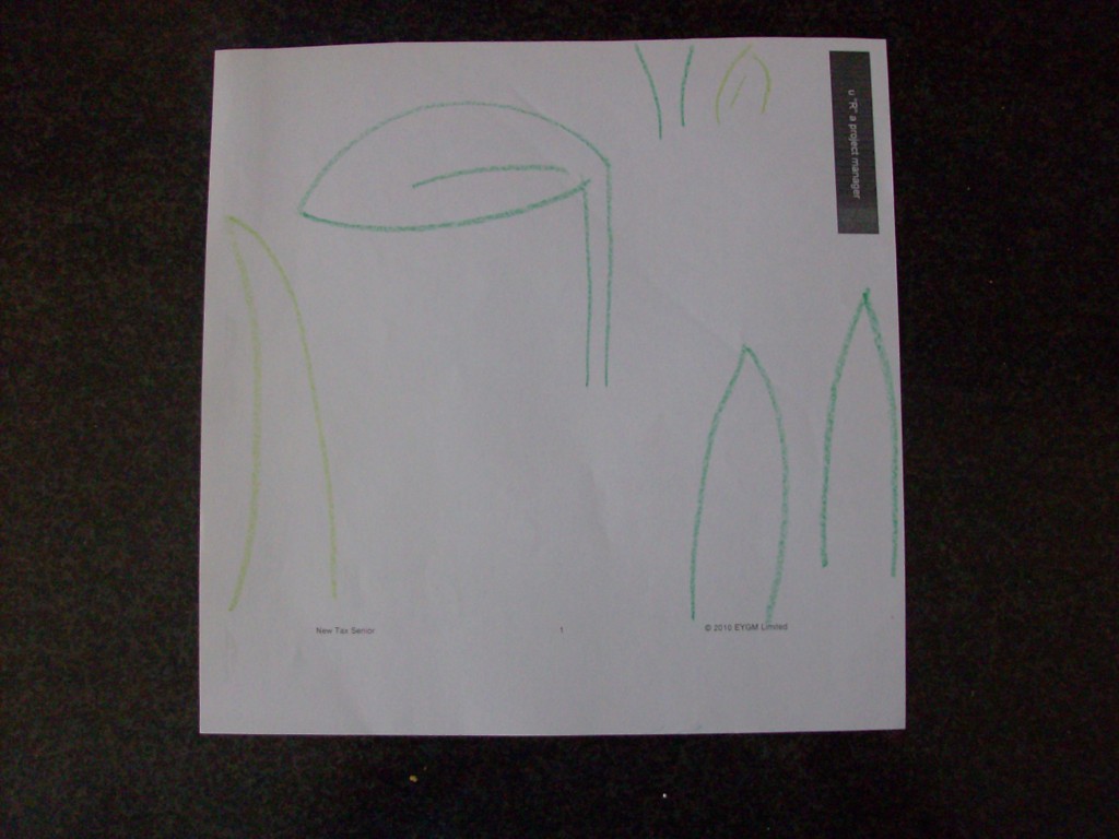 Kids Craft Scene Drawings Bugs