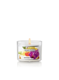 bath & body works