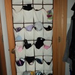 winter-organization
