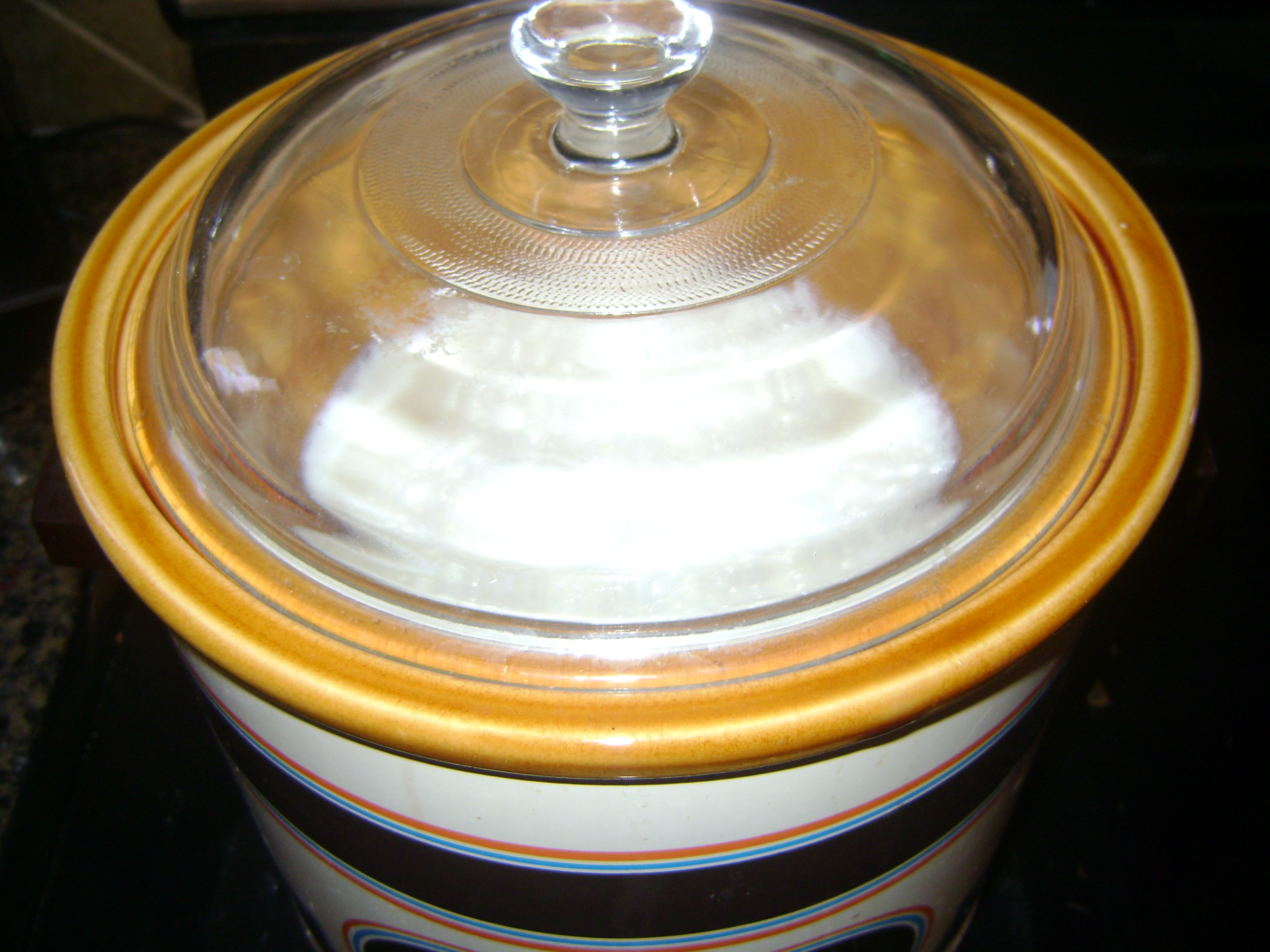 crock pot yogurt