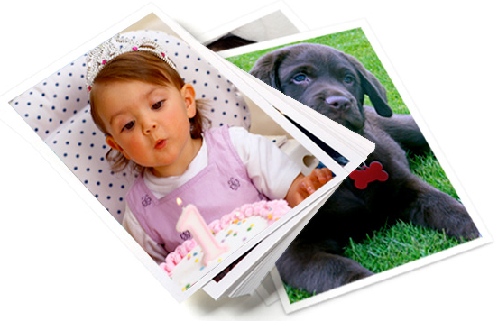 shutterfly free prints