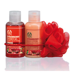 mini duo body shop