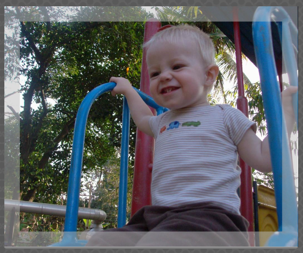 seehere photo canvas preview