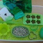 St. Patrick's Day Themed Sensory Box