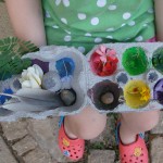 Egg Carton Nature Treasures in Every Color