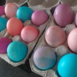 Dyeing Eggs with Food Coloring