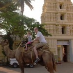 Mysore Camel Ride
