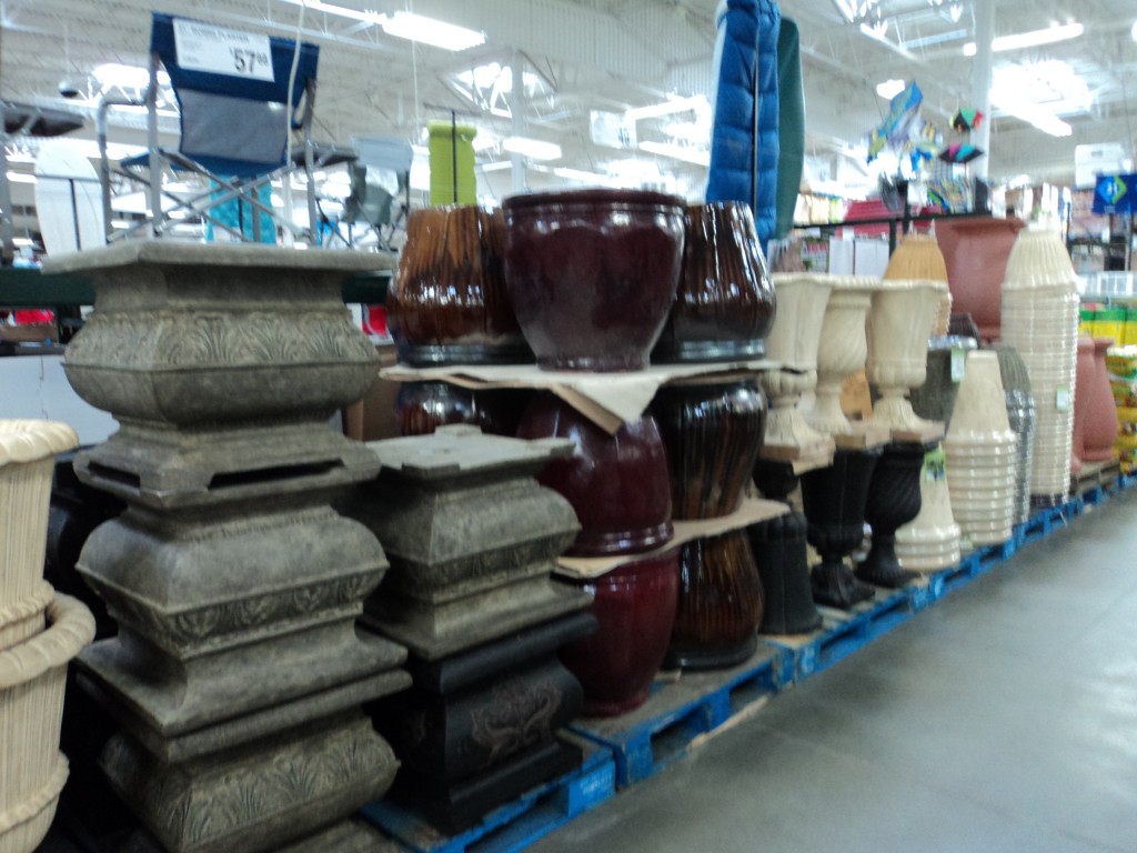 sam's club gardening plants sam's club gardening plants