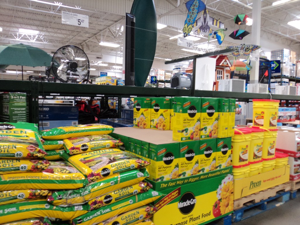 sam's club gardening plants sam's club gardening plants