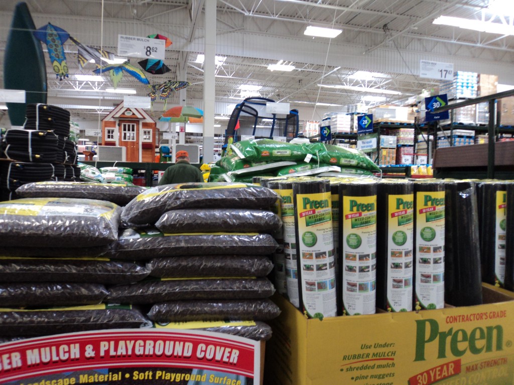 sam's club gardening plants sam's club gardening plants