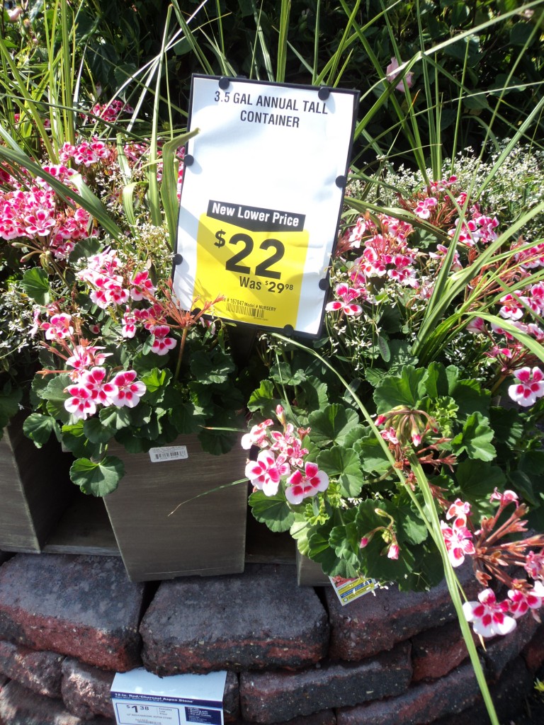 lowe's plants 2011