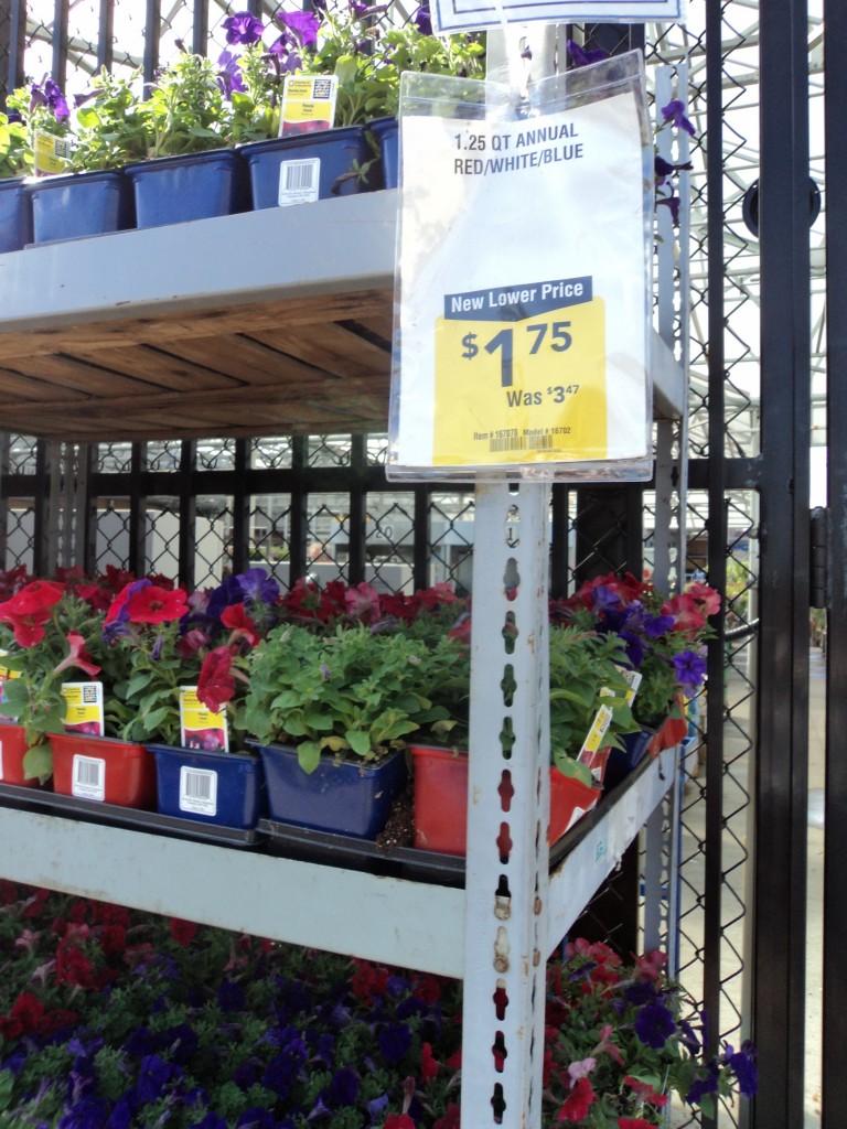 lowe's plants 2011
