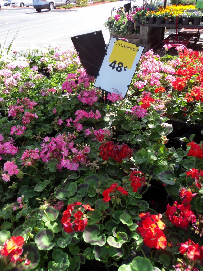 lowe's plants 2011