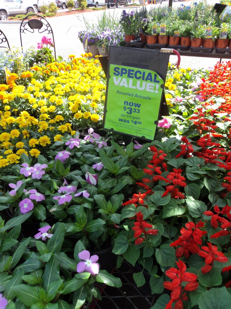 lowe's plants 2011