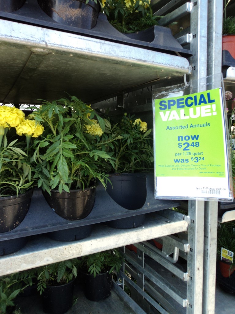 lowe's plants 2011