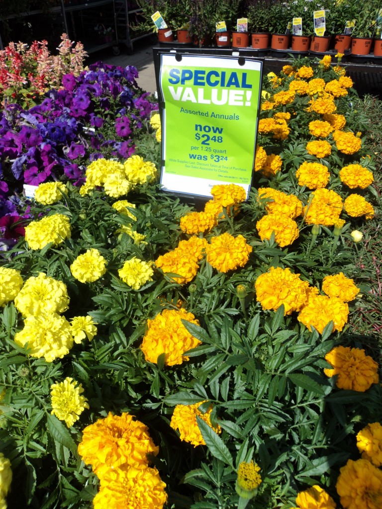 lowe's plants 2011