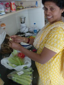 Frugal Foreigner House Helper