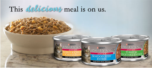 pro plan cat food