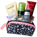 beauty bag target