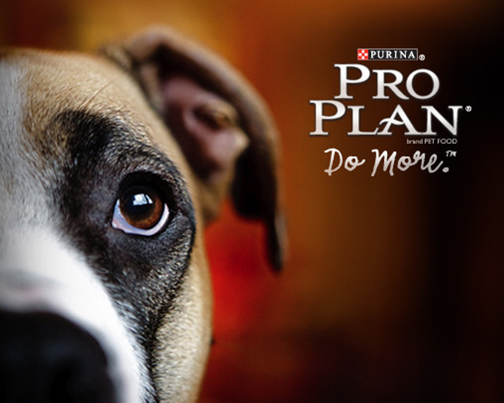 proplan coupon