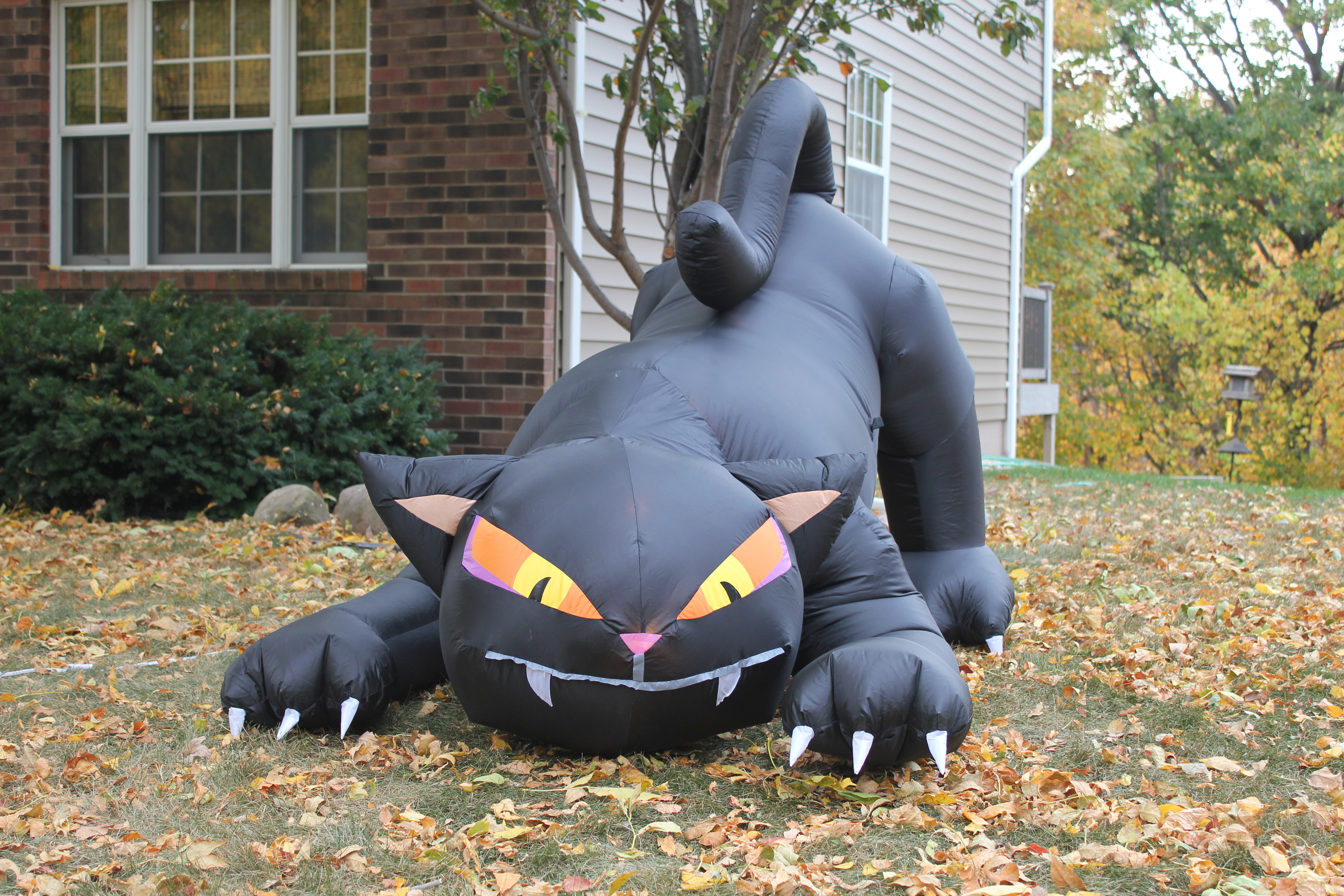 big black inflatable cat