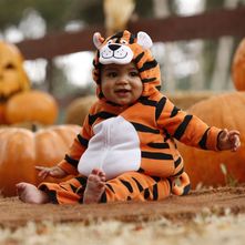 tiger costume carters