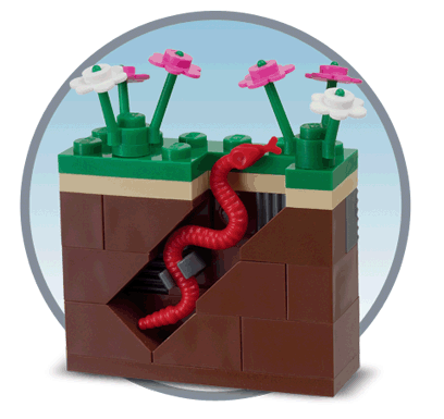 lego store