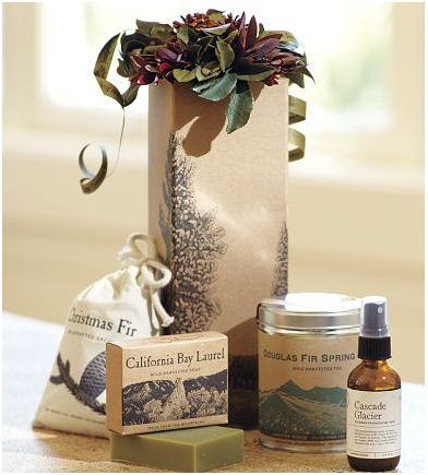 Pottery Barn Gift Set