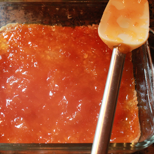 Easy Apricot Bars Recipe