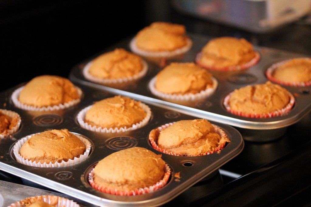 2-ingredient pumpkin cupcakes