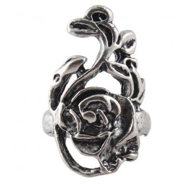 amazon jewlery deals