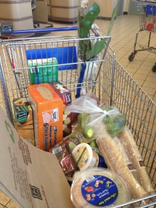 aldi shopping cart
