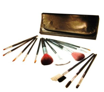 makeup brush set and case