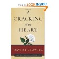 amazon Book Deals - A Cracking of the Heart