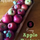 how to freeze apples and 5 easy apple recipes | mommysavers.com #apples