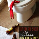 elf on the shelf ideas for adults only