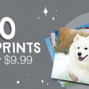 photo deals, walgreens photo