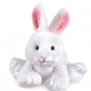 amazon toy deals