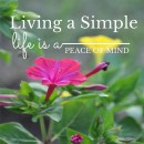 living a simple life