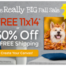 photo deals