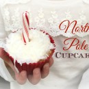 North Pole Cupcakes